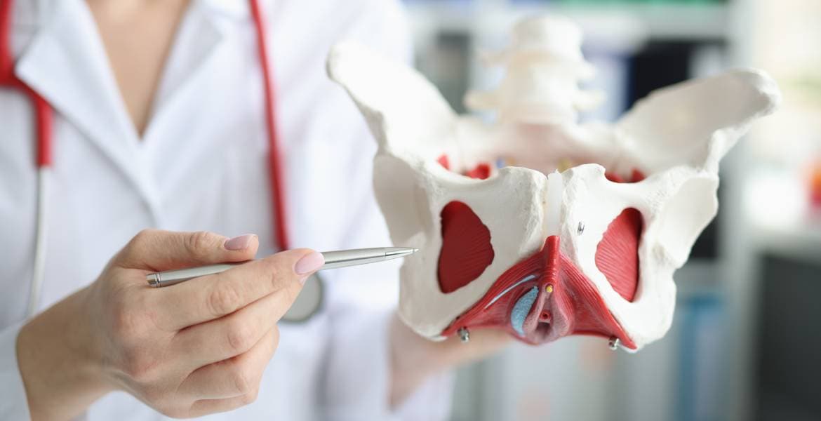 Northgate Physical Therapy, P.C.