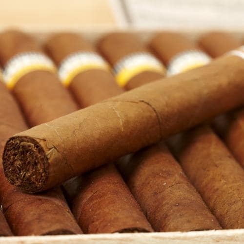Cigars