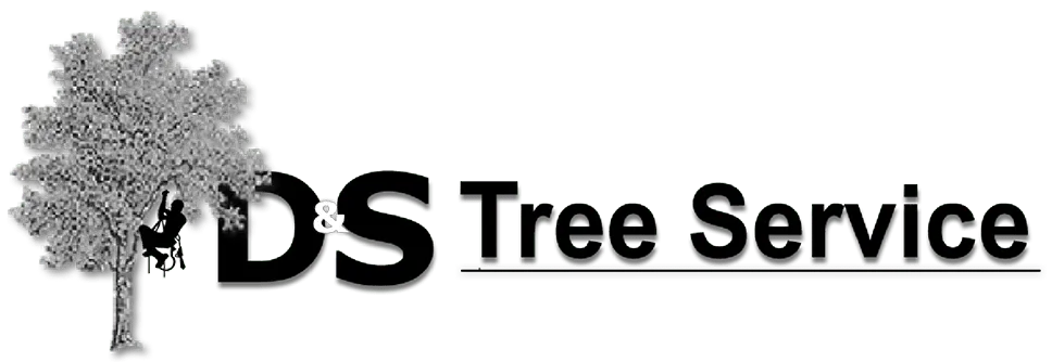 Dennis & Son Tree Service