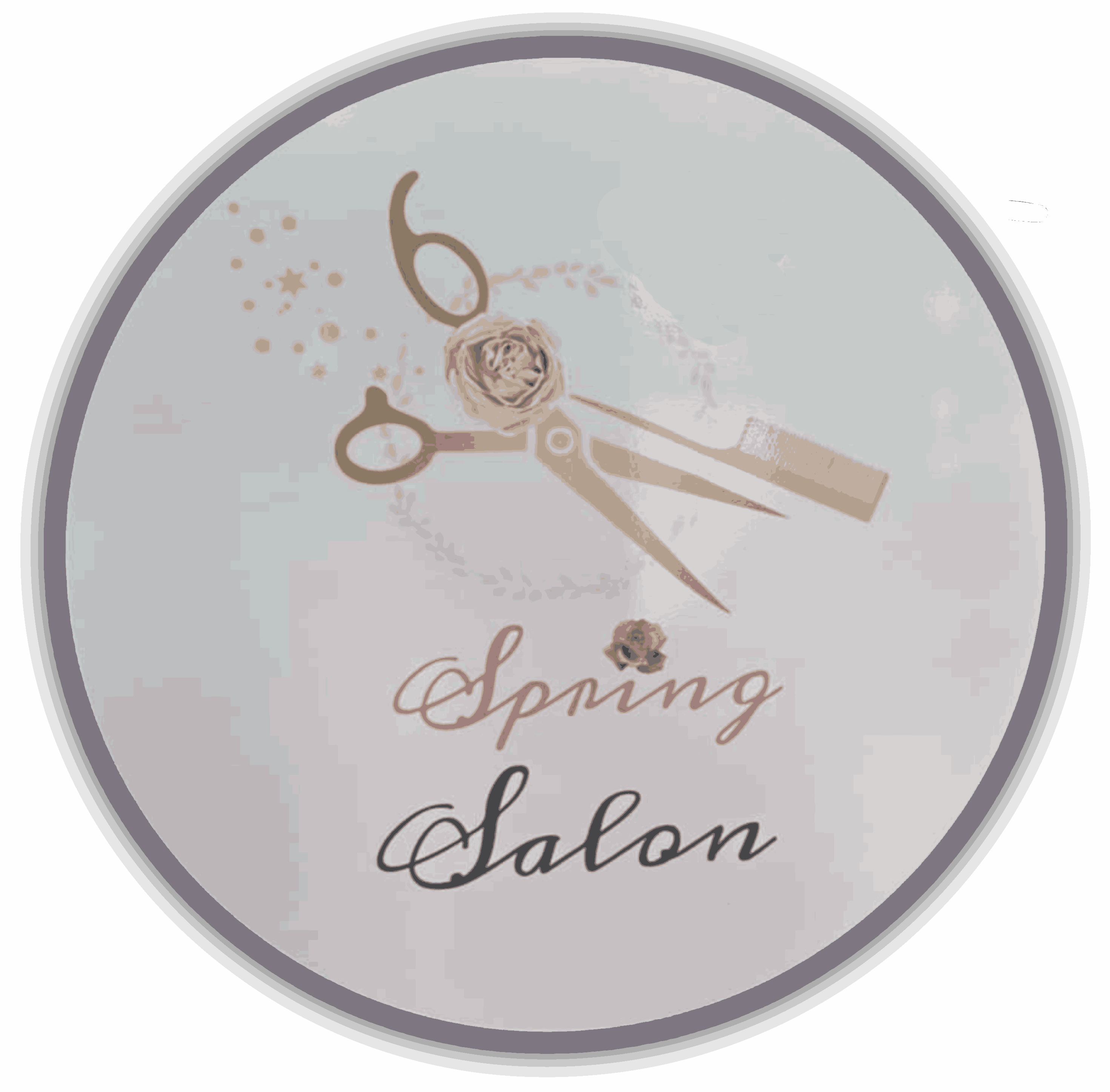 Spring Salon Offers Hair Coloring in Palatine, IL 60074