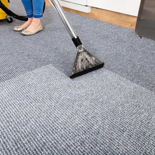 Carpet Cleaning
