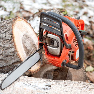 TREE CUTTING SERVICE