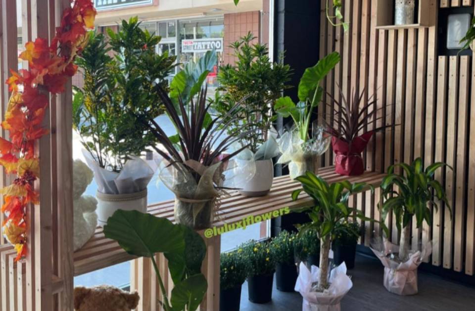 Lulu & J Flowers is a Flower Store in Orange, CA 92867