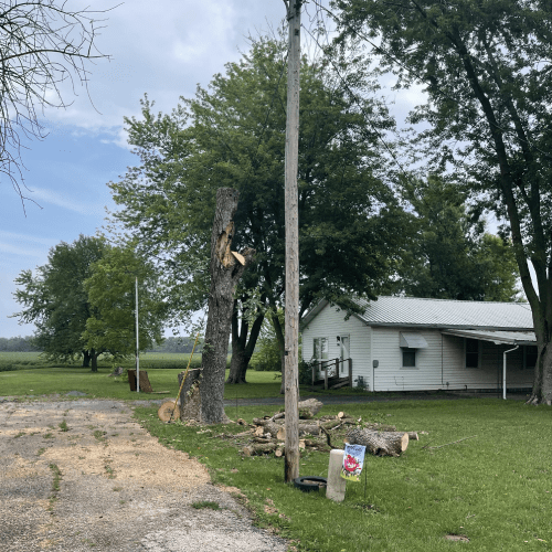 Residential Tree Services