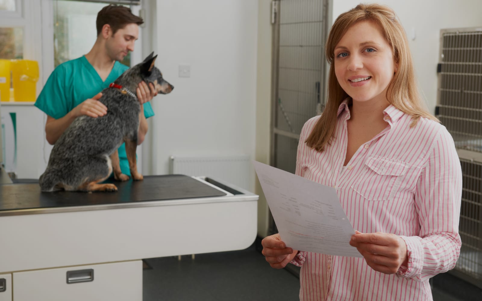 Van Nuys Veterinary Clinic is a Veterinary Clinic in Van Nuys, CA