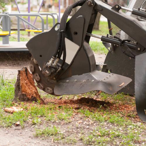 Stump Grinding
