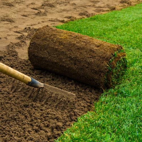 Sod Installation
