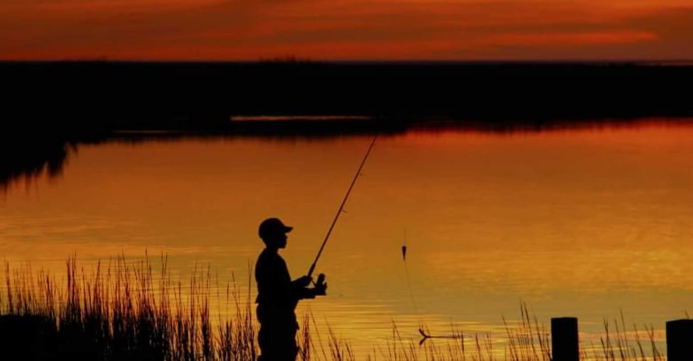 Tooties Bait, Tackle and Firewood is a Bait Shop in John's Island, SC 29455