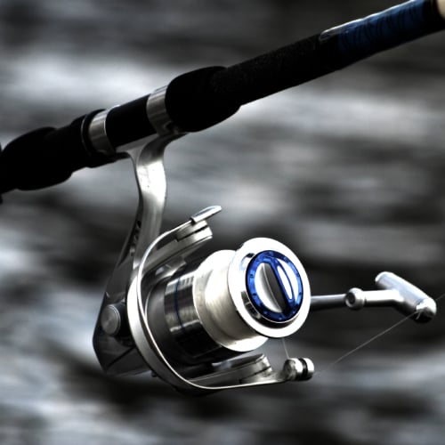 Tooties Bait, Tackle and Firewood is a Bait Shop in John's Island, SC 29455