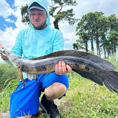 SNAKEHEAD FISHING CHARTERS