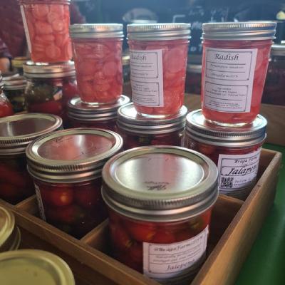 FERMENTED VEGETABLES