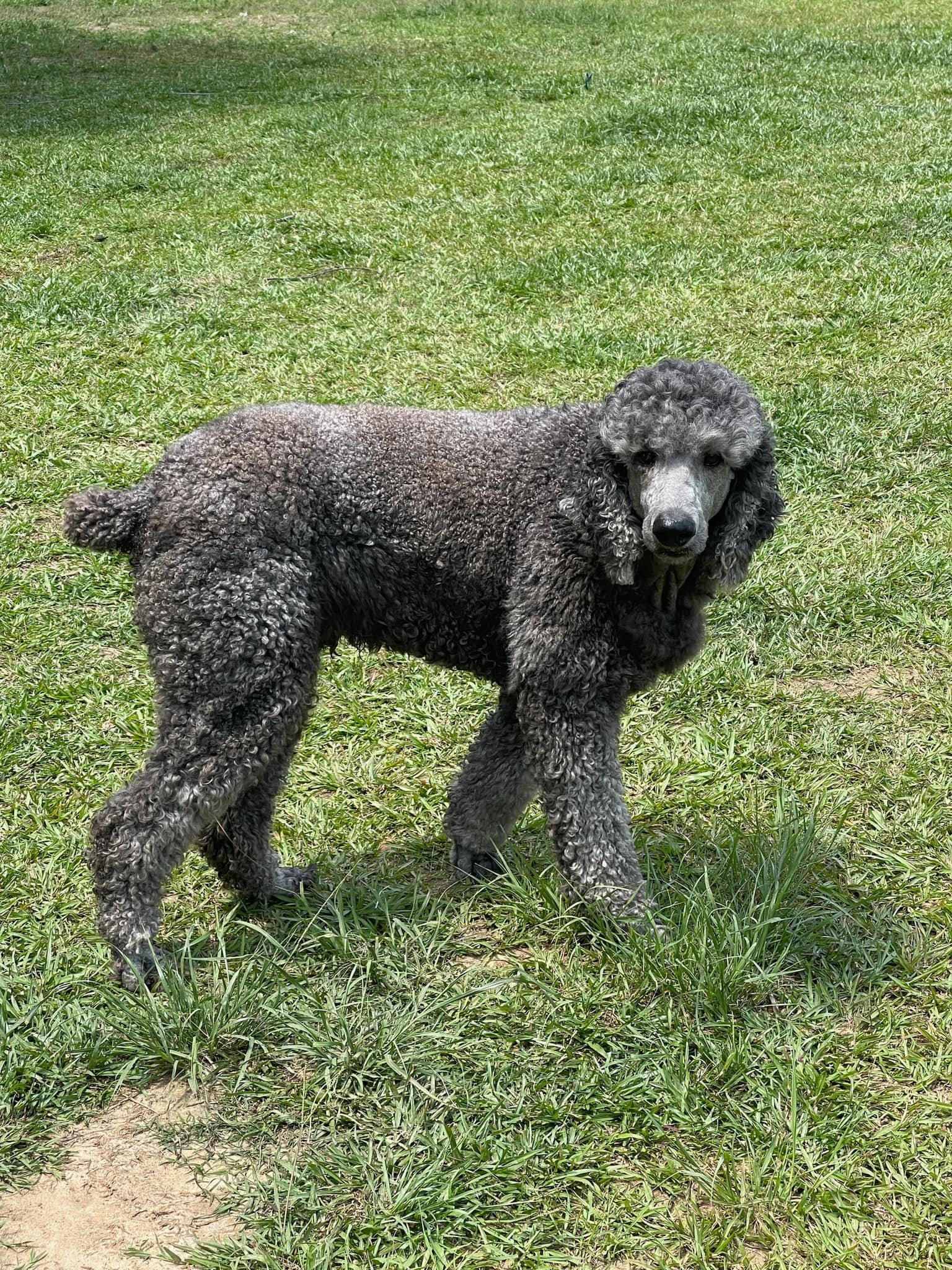 Over The Top Aquatics Pet Store Offers Reptiles in Americus, GA 31709