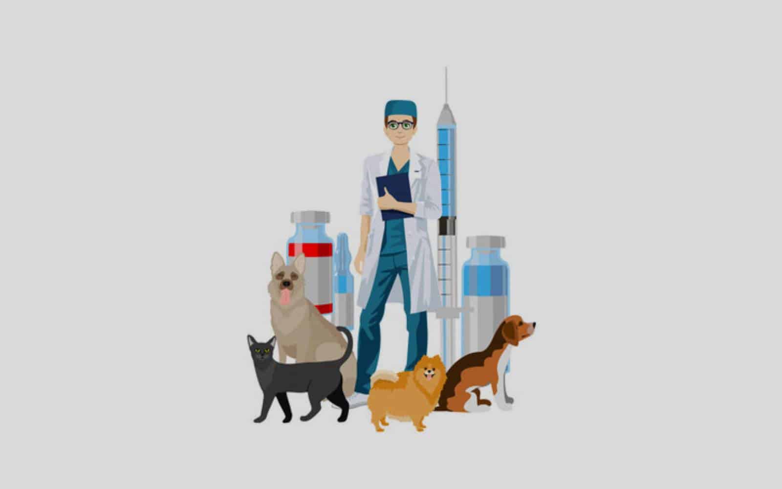 Van Nuys Veterinary Clinic is a Veterinary Clinic in Van Nuys, CA