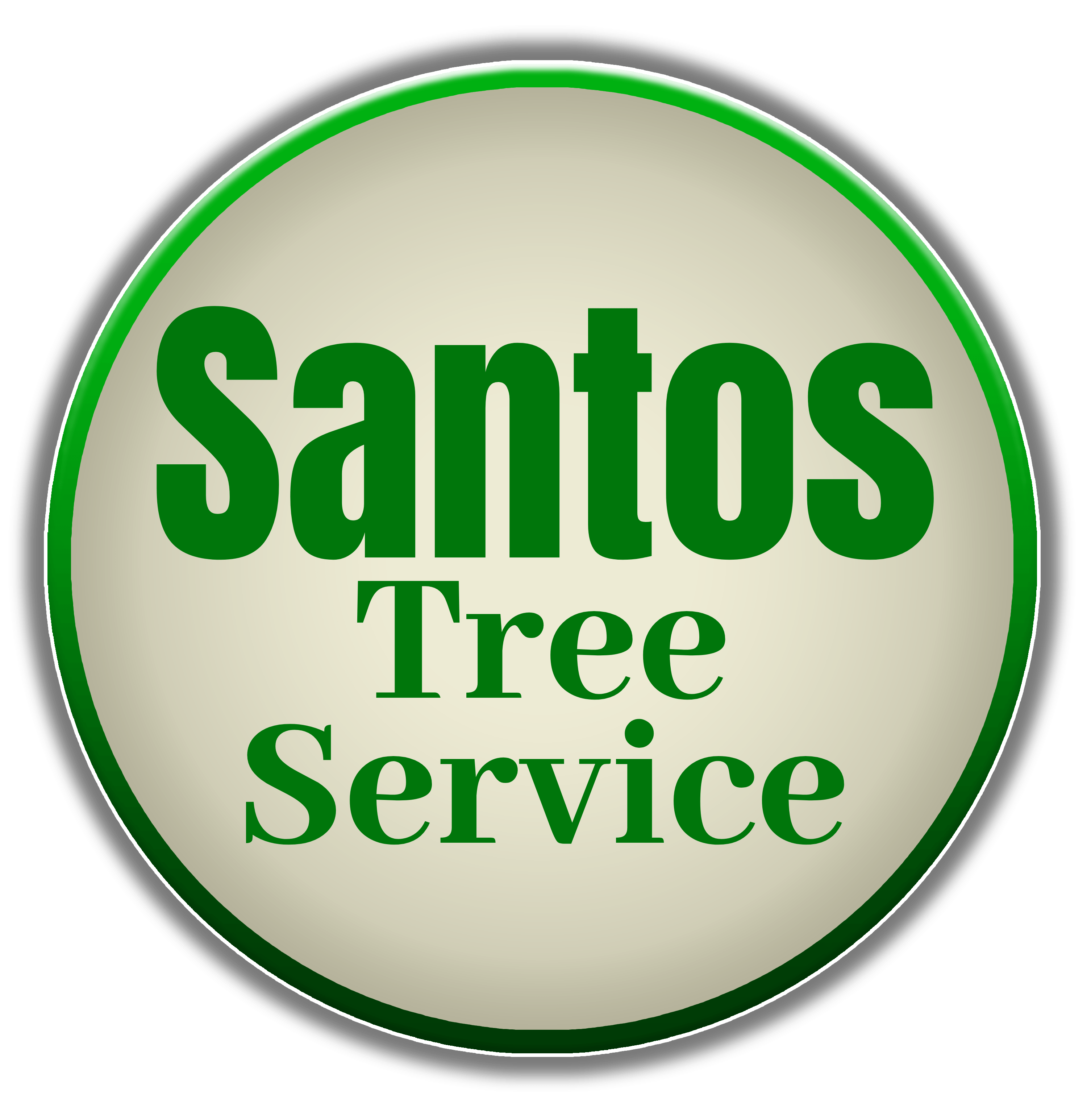 Santos Tree Service Offers Tree Services in Riverside, CA 92505