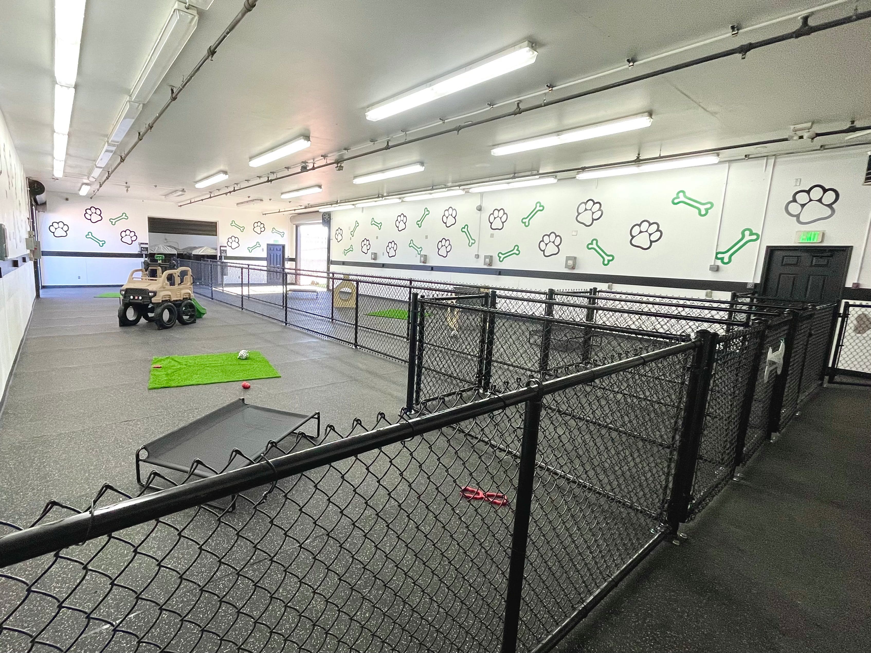 Must Love Paws Is A Dog Day Care In Bend OR 97702