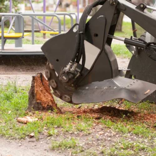 Stump Grinding