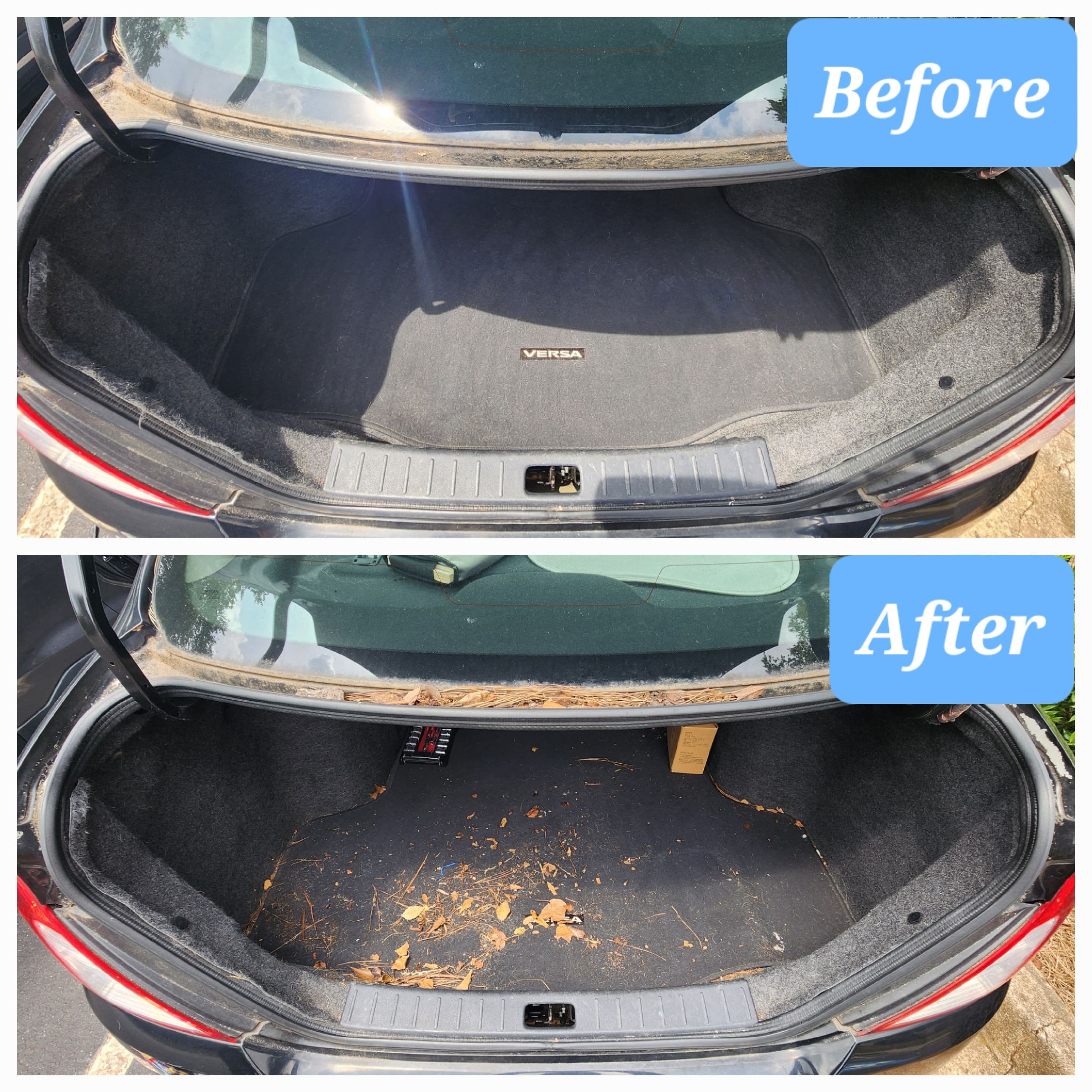 AnyCare Mobile Detailing & Car Wash Offers Supercar Cleaning in Newnan