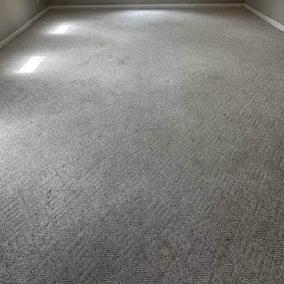 CARPET CLEANING