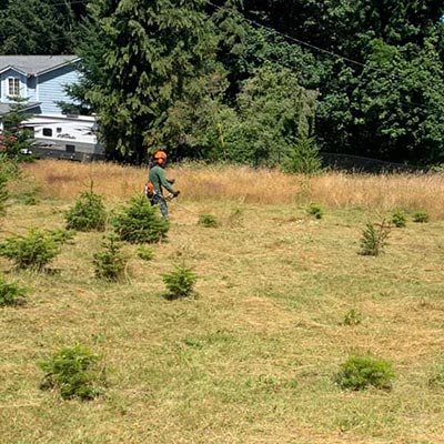 LANDSCAPING MAINTENANCE SERVICES