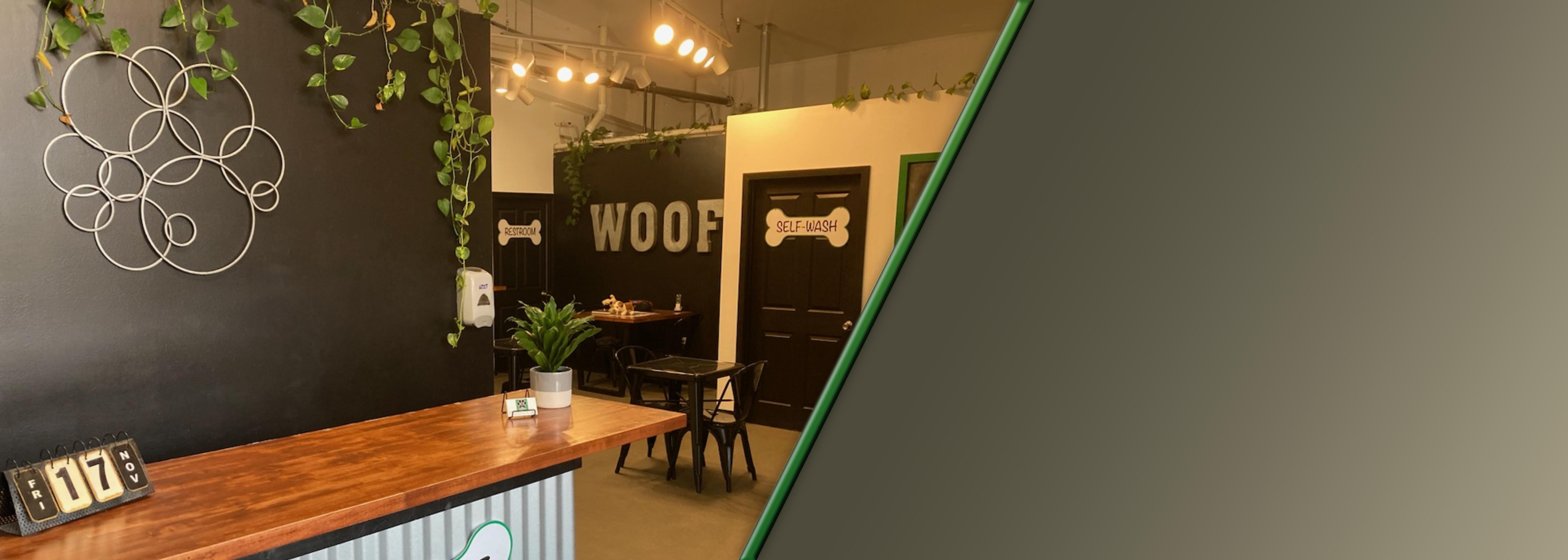 Must Love Paws is a Dog Day Care in Corvallis, OR 97330