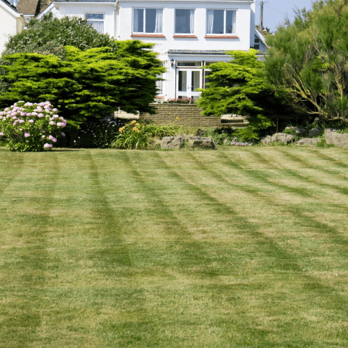 Lawn Care Services