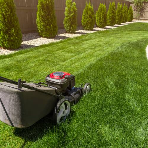 Lawn Care