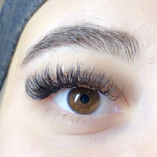Eyelash Extensions 
