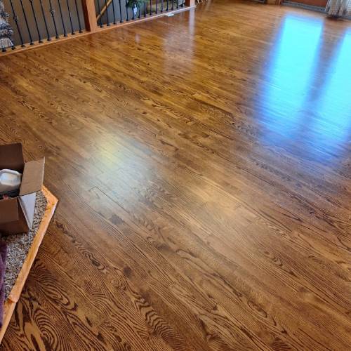 Wood Floor Cleaning