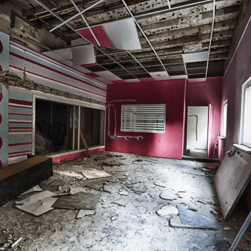 Interior Demolition
