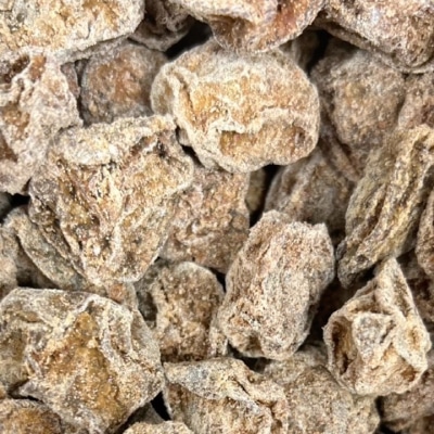 KING SWEET LIHING MUI