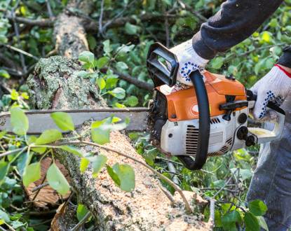 RESIDENTIAL TREE SERVICES