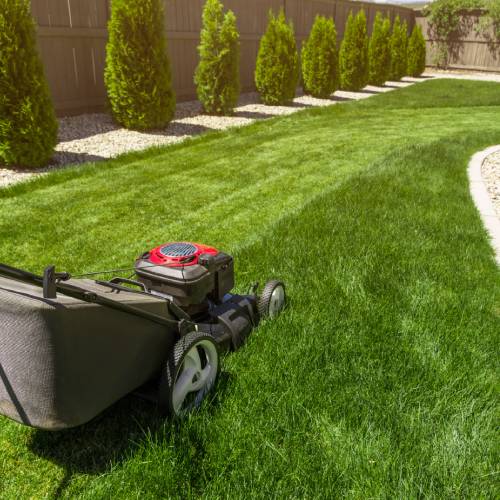 Lawn Maintenance