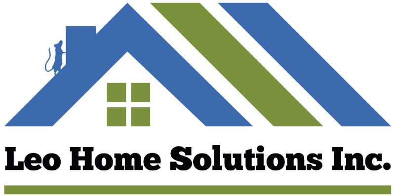Leo Home Solutions Inc