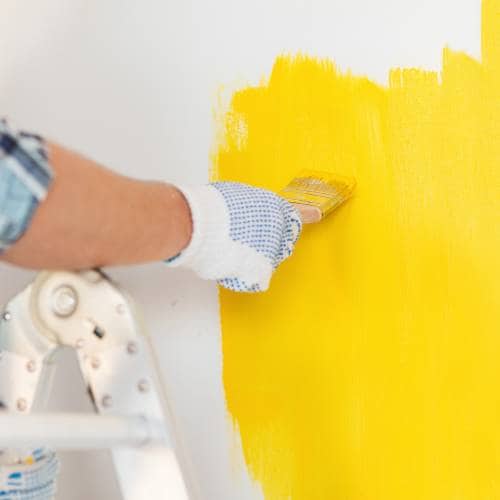 Painting Services