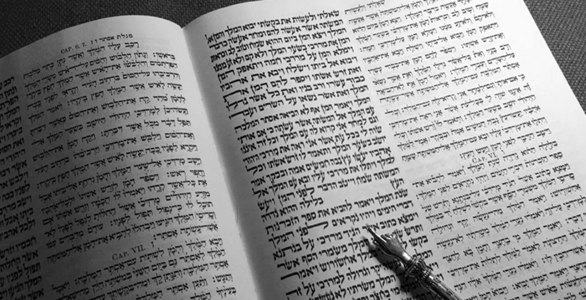 Rabbi Linda Portnoy Goldberg