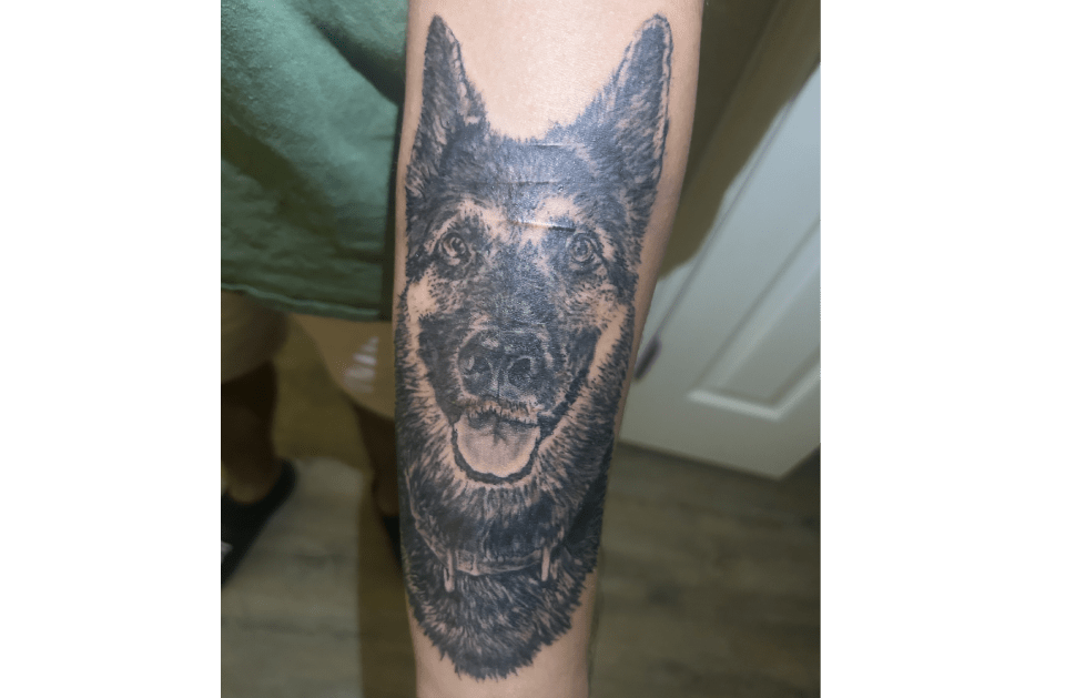 Loveland Tattoo is a Tattoo Shop in Loveland, CO 80538