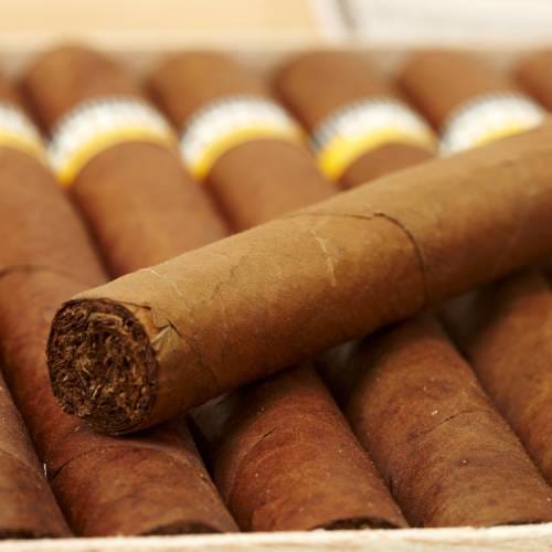 Cigars