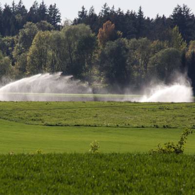 AGRICULTURAL SURVEYING