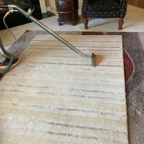 Carpet Cleaning