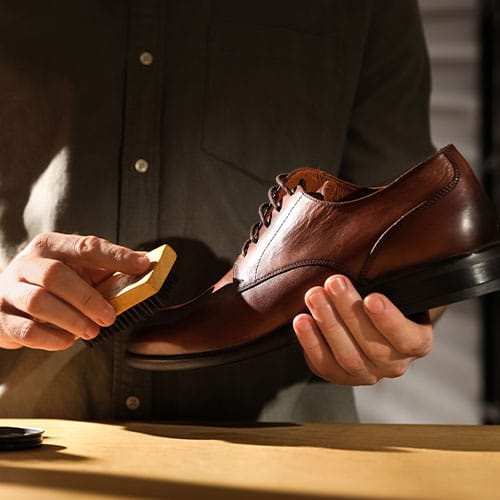 Shoe Polishing