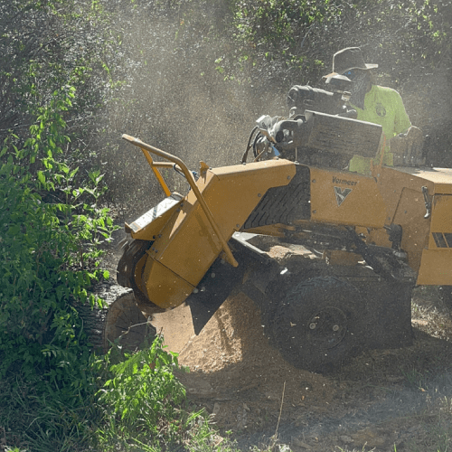 Stump Grinding