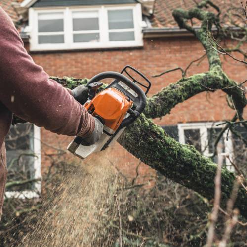 Residential Tree Services