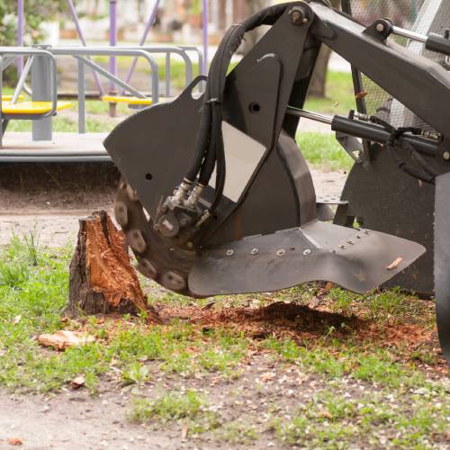 Stump Grinding