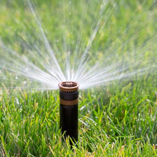 Irrigation System Maintenance  