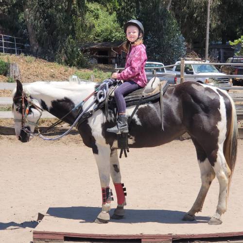 Horse Riding Lessons