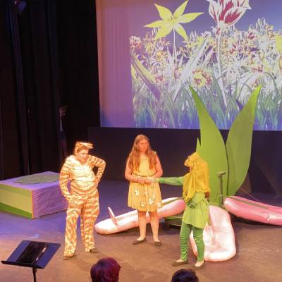 MUSICAL THEATER CLASSES