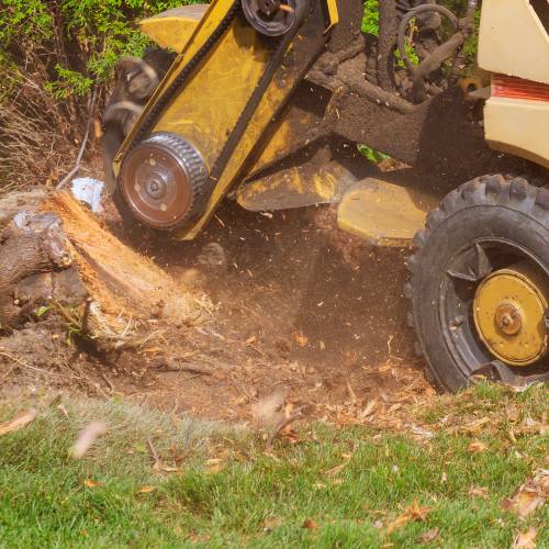 Stump Grinding