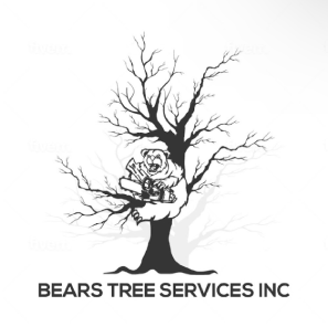 Bears Tree Services