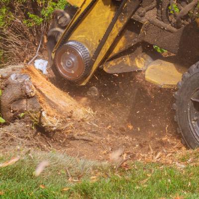 STUMP GRINDING