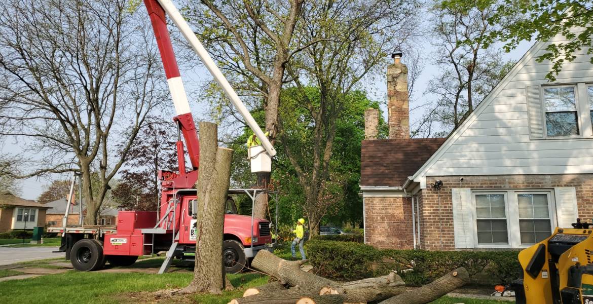 R&J Ozuna's Tree Service Co.